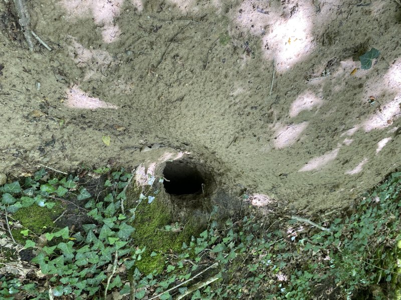 HABITATION DU BLAIREAU. ALAIN LEROY